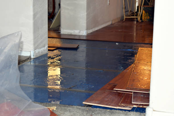 Professional Basement Flood Cleanup technician working in Portage, MI